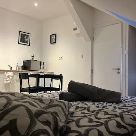 Cosy Rent Studio 3 -gare - Tv - Wifi Strasbourg